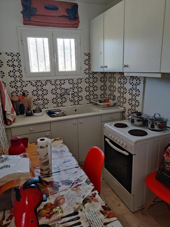 Seaview Apartment Pórto Ráfti Dış mekan fotoğraf